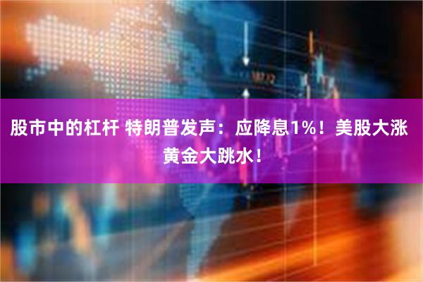 股市中的杠杆 特朗普发声：应降息1%！美股大涨 黄金大跳水！