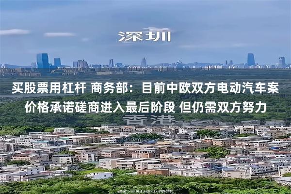 买股票用杠杆 商务部：目前中欧双方电动汽车案价格承诺磋商进入最后阶段 但仍需双方努力