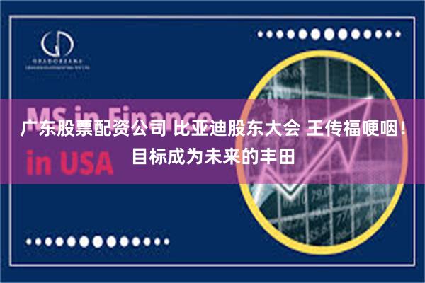 广东股票配资公司 比亚迪股东大会 王传福哽咽！目标成为未来的丰田