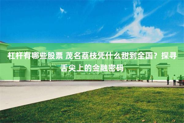 杠杆有哪些股票 茂名荔枝凭什么甜到全国？探寻舌尖上的金融密码