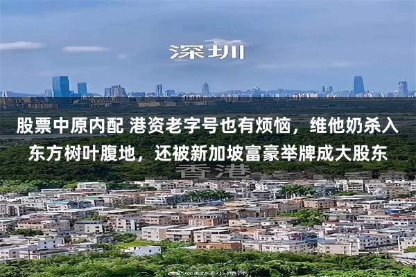 股票中原内配 港资老字号也有烦恼，维他奶杀入东方树叶腹地，还被新加坡富豪举牌成大股东