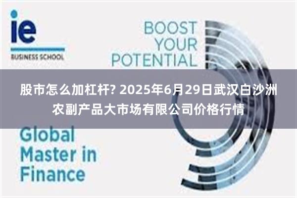 股市怎么加杠杆? 2025年6月29日武汉白沙洲农副产品大市场有限公司价格行情