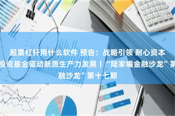 股票杠杆用什么软件 预告：战略引领 耐心资本：政府投资基金驱动新质生产力发展丨“陆家嘴金融沙龙”第十七期