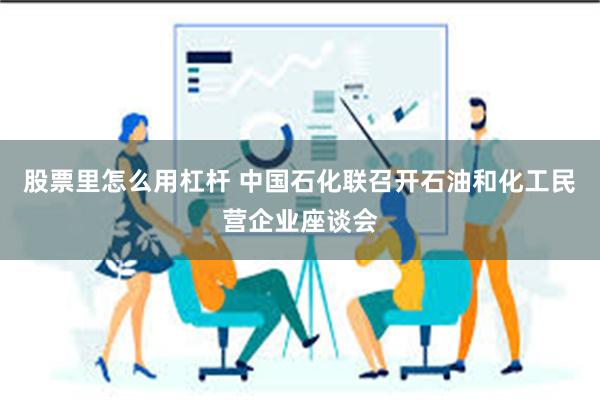 股票里怎么用杠杆 中国石化联召开石油和化工民营企业座谈会