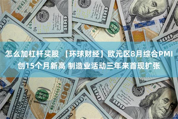怎么加杠杆买股 【环球财经】欧元区8月综合PMI创15个月新高 制造业活动三年来首现扩张