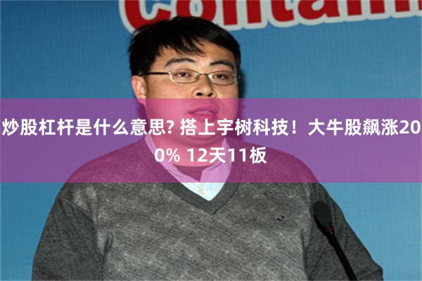 炒股杠杆是什么意思? 搭上宇树科技！大牛股飙涨200% 12天11板