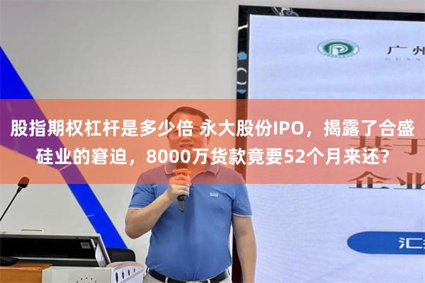 股指期权杠杆是多少倍 永大股份IPO,揭露了合盛硅业的窘迫,8000万货款竟要52个月来还?