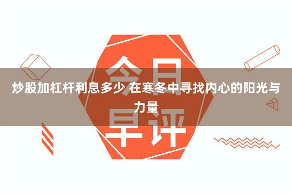 炒股加杠杆利息多少 在寒冬中寻找内心的阳光与力量