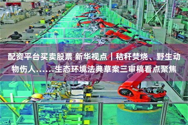 配资平台买卖股票 新华视点｜秸秆焚烧、野生动物伤人……生态环境法典草案三审稿看点聚焦