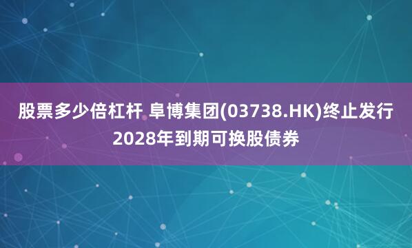股票多少倍杠杆 阜博集团(03738.HK)终止发行2028年到期可换股债券