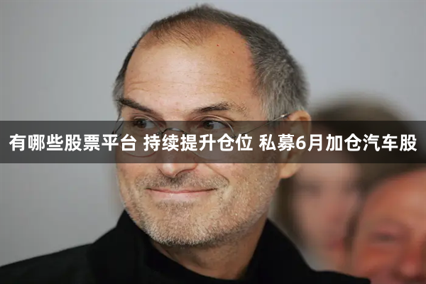 有哪些股票平台 持续提升仓位 私募6月加仓汽车股