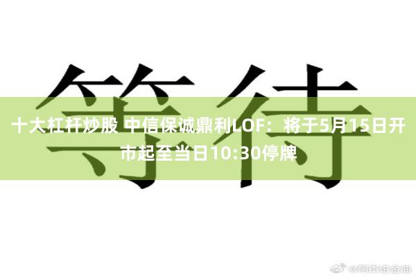 十大杠杆炒股 中信保诚鼎利LOF：将于5月15日开市起至当日10:30停牌