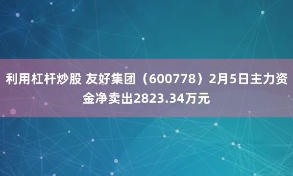 利用杠杆炒股 友好集团（600778）2月5日主力资金净卖出2823.34万元