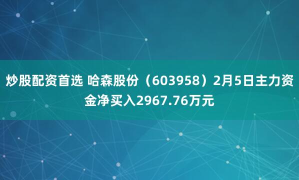 炒股配资首选 哈森股份（603958）2月5日主力资金净买入2967.76万元