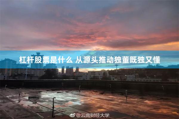 杠杆股票是什么 从源头推动独董既独又懂