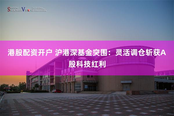港股配资开户 沪港深基金突围：灵活调仓斩获A股科技红利