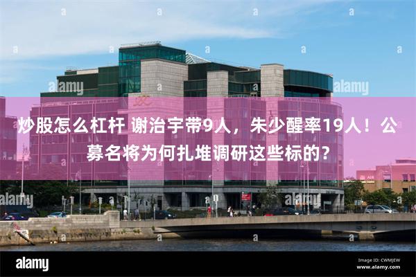 炒股怎么杠杆 谢治宇带9人，朱少醒率19人！公募名将为何扎堆调研这些标的？