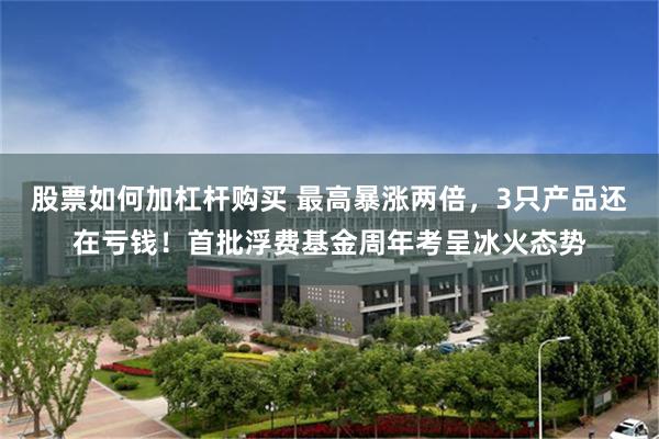 股票如何加杠杆购买 最高暴涨两倍，3只产品还在亏钱！首批浮费基金周年考呈冰火态势