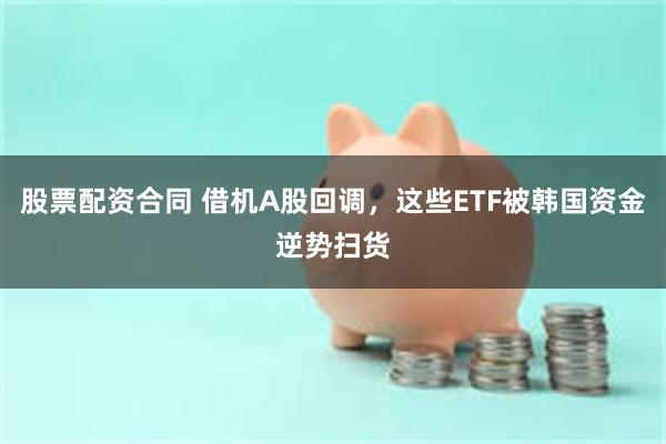 股票配资合同 借机A股回调，这些ETF被韩国资金逆势扫货
