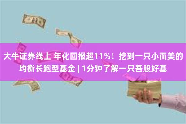 大牛证券线上 年化回报超11%！挖到一只小而美的均衡长跑型基金 | 1分钟了解一只吾股好基