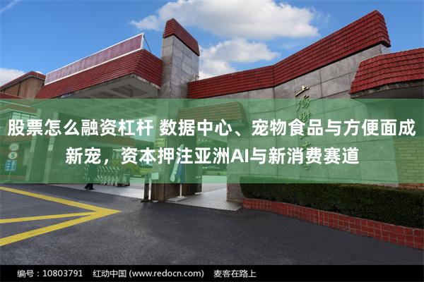 股票怎么融资杠杆 数据中心、宠物食品与方便面成新宠，资本押注亚洲AI与新消费赛道