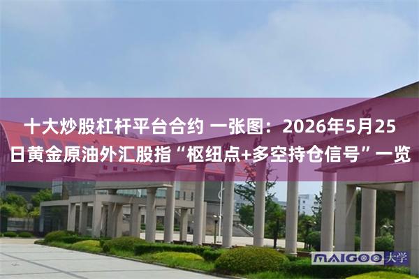 十大炒股杠杆平台合约 一张图：2026年5月25日黄金原油外汇股指“枢纽点+多空持仓信号”一览
