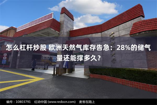 怎么杠杆炒股 欧洲天然气库存告急：28%的储气量还能撑多久？