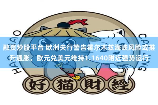 融资炒股平台 欧洲央行警告霍尔木兹海峡风险或推升通胀，欧元兑美元维持1.1640附近强势运行