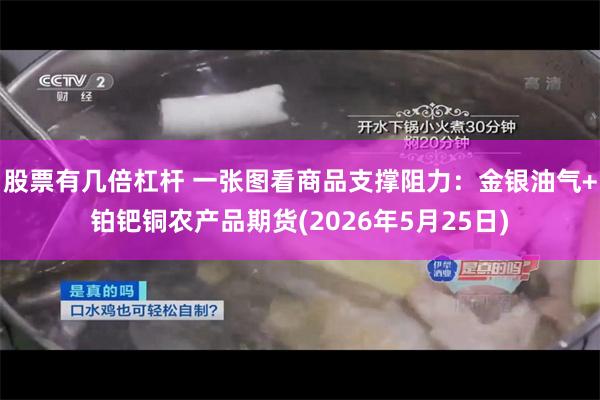股票有几倍杠杆 一张图看商品支撑阻力：金银油气+铂钯铜农产品期货(2026年5月25日)