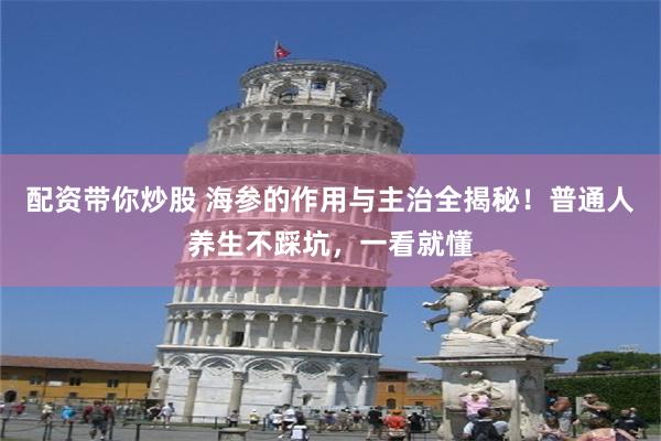 配资带你炒股 海参的作用与主治全揭秘！普通人养生不踩坑，一看就懂
