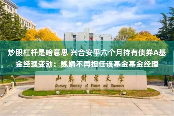 炒股杠杆是啥意思 兴合安平六个月持有债券A基金经理变动：魏婧不再担任该基金基金经理