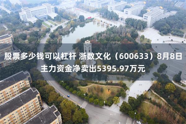 股票多少钱可以杠杆 浙数文化（600633）8月8日主力资金净卖出5395.97万元
