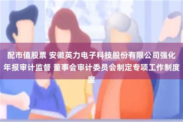 配市值股票 安徽英力电子科技股份有限公司强化年报审计监督 董事会审计委员会制定专项工作制度
