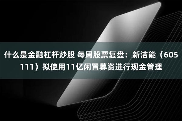 什么是金融杠杆炒股 每周股票复盘：新洁能（605111）拟使用11亿闲置募资进行现金管理