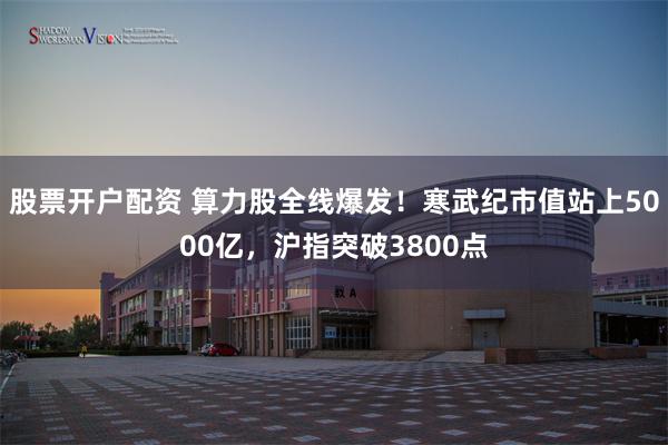 股票开户配资 算力股全线爆发！寒武纪市值站上5000亿，沪指突破3800点