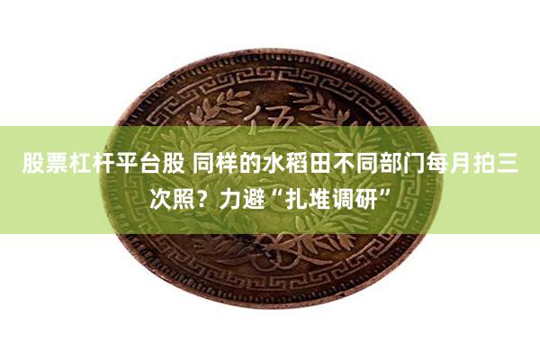股票杠杆平台股 同样的水稻田不同部门每月拍三次照？力避“扎堆调研”