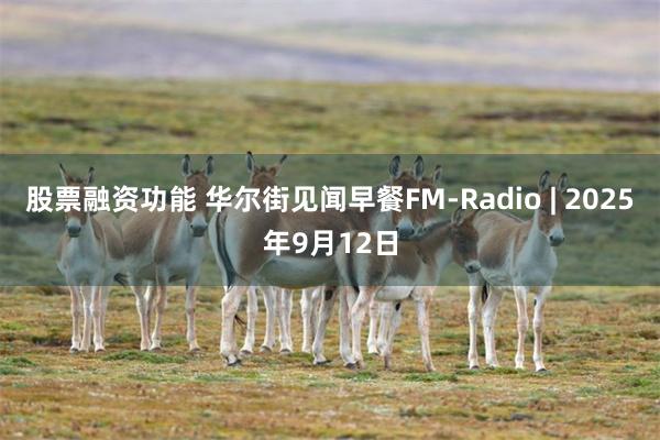 股票融资功能 华尔街见闻早餐FM-Radio | 2025年9月12日