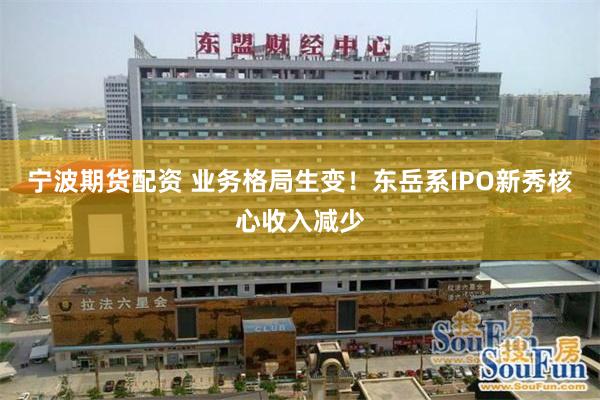 宁波期货配资 业务格局生变！东岳系IPO新秀核心收入减少