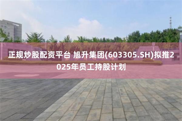 正规炒股配资平台 旭升集团(603305.SH)拟推2025年员工持股计划