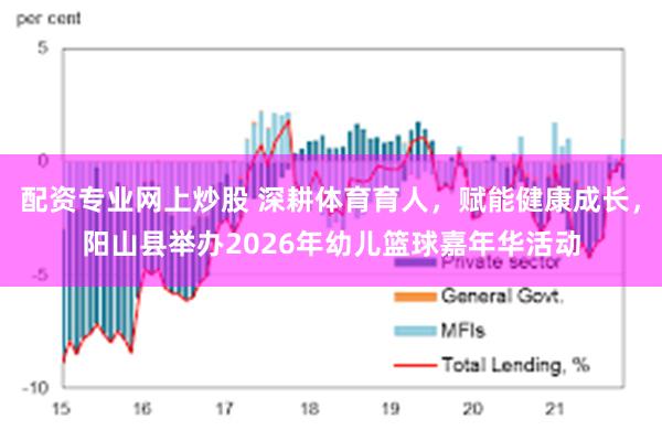 配资专业网上炒股 深耕体育育人,赋能健康成长,阳山县举办2026年幼儿篮球嘉年华活动