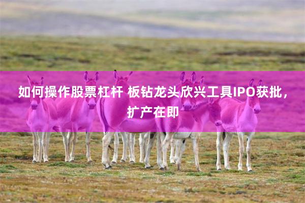 如何操作股票杠杆 板钻龙头欣兴工具IPO获批，扩产在即