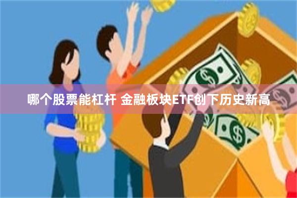 哪个股票能杠杆 金融板块ETF创下历史新高