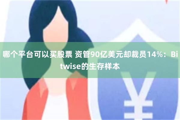 哪个平台可以买股票 资管90亿美元却裁员14%：Bitwise的生存样本