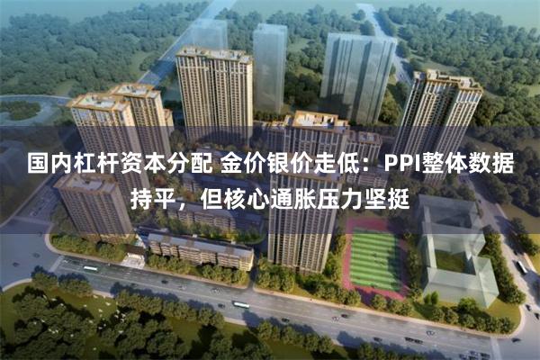 国内杠杆资本分配 金价银价走低：PPI整体数据持平，但核心通胀压力坚挺