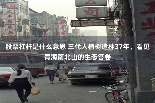 股票杠杆是什么意思 三代人植树造林37年，看见青海南北山的生态答卷