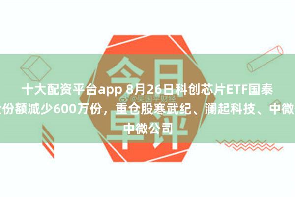 十大配资平台app 8月26日科创芯片ETF国泰基金份额减少600万份，重仓股寒武纪、澜起科技、中微公司