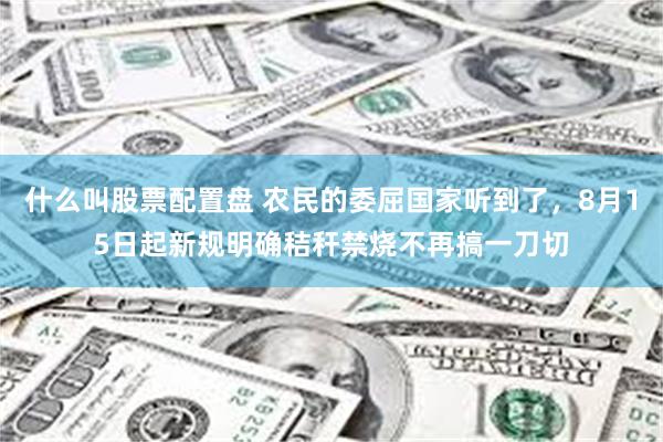 什么叫股票配置盘 农民的委屈国家听到了，8月15日起新规明确秸秆禁烧不再搞一刀切