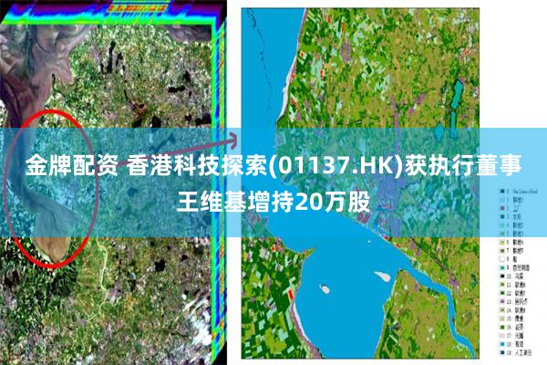 金牌配资 香港科技探索(01137.HK)获执行董事王维基增持20万股