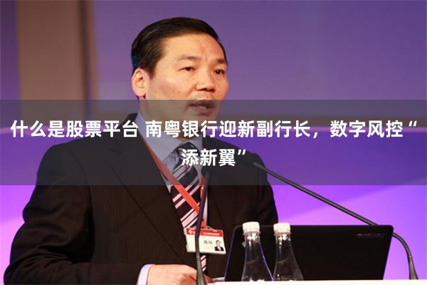 什么是股票平台 南粤银行迎新副行长，数字风控“添新翼”