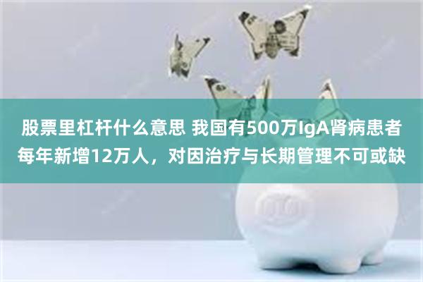 股票里杠杆什么意思 我国有500万IgA肾病患者每年新增12万人，对因治疗与长期管理不可或缺